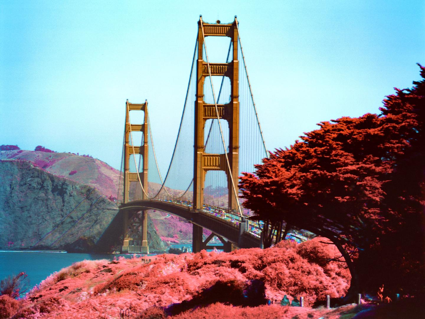 The Golden Gate Bridge is visible in the distance, with hills and water behind it, and red foliage in the foreground.