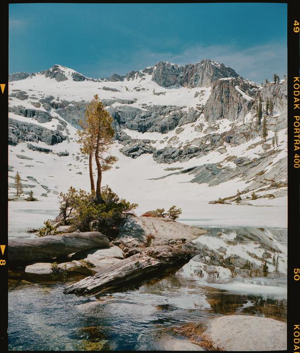 A small island with two trees sits in a partially frozen lake, with snow-covered mountains rising in the background.