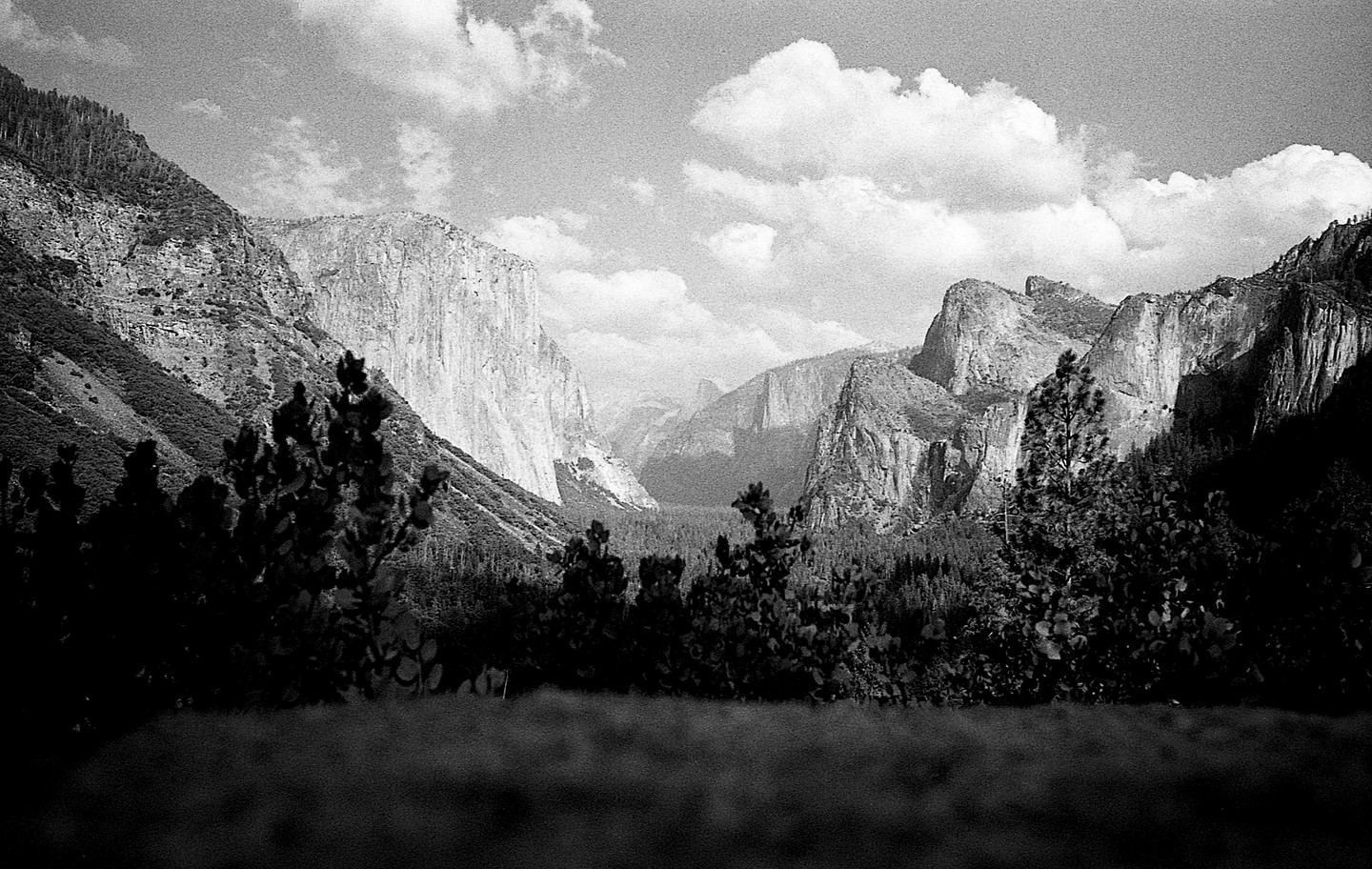 A black and white landscape shows a valley with steep rock faces and a forest in the foreground.