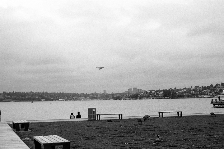 A seaplane flies over a lake with a city skyline in the background, as two people sit by the water and geese graze on the grass.