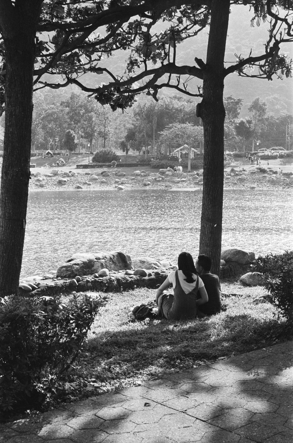 A couple sits on the grass by a lake, framed by two trees in the foreground.