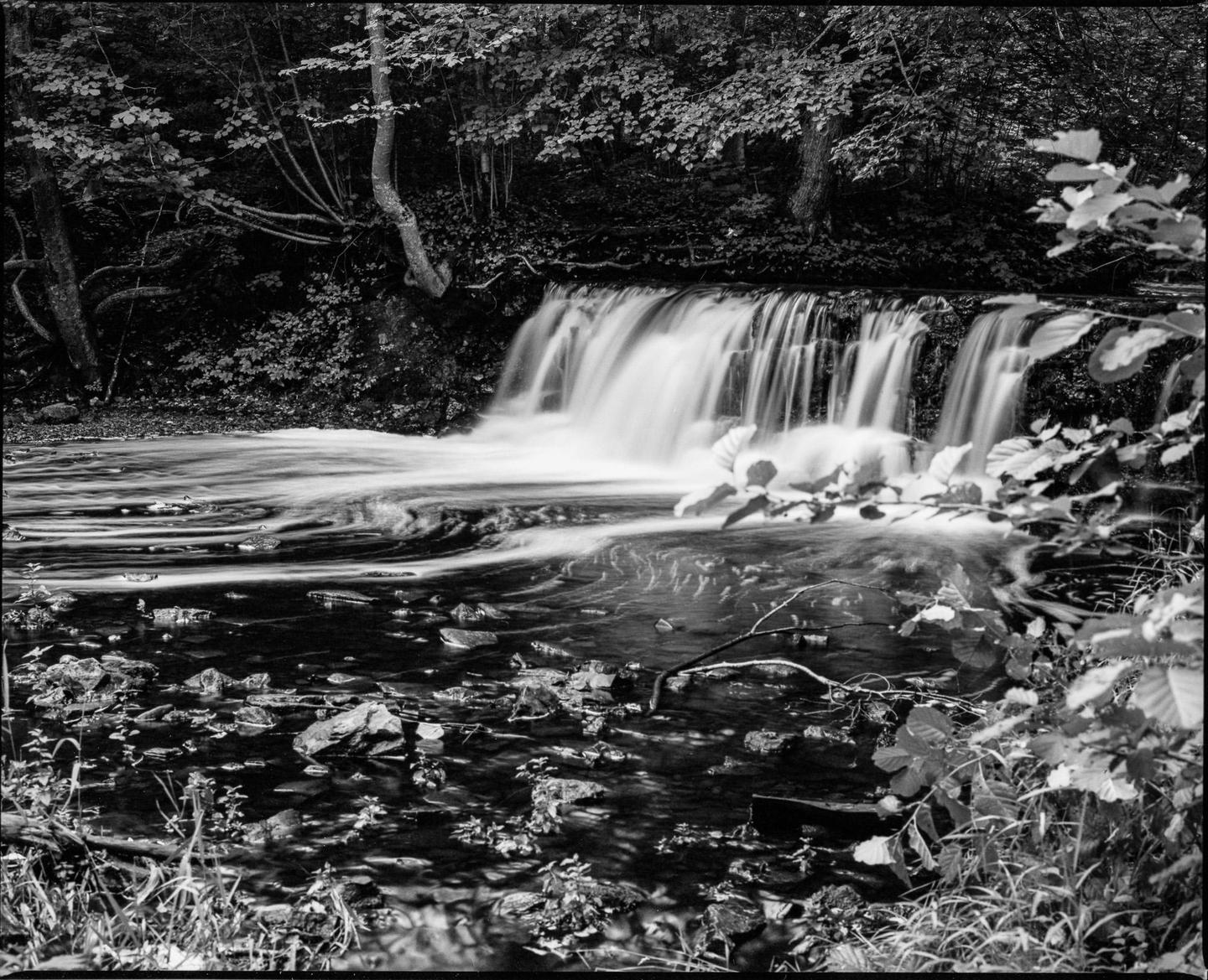 A black and white photograph shows a waterfall cascading into a rocky stream surrounded by lush foliage.