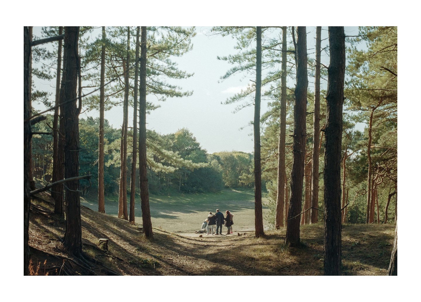 Four people stand in a clearing surrounded by tall pine trees.