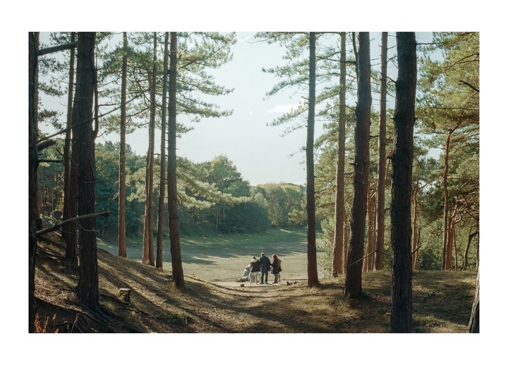 Four people stand in a clearing surrounded by tall pine trees.