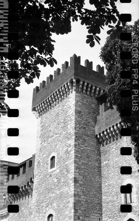 A tall stone castle tower with battlements is framed by dark foliage.