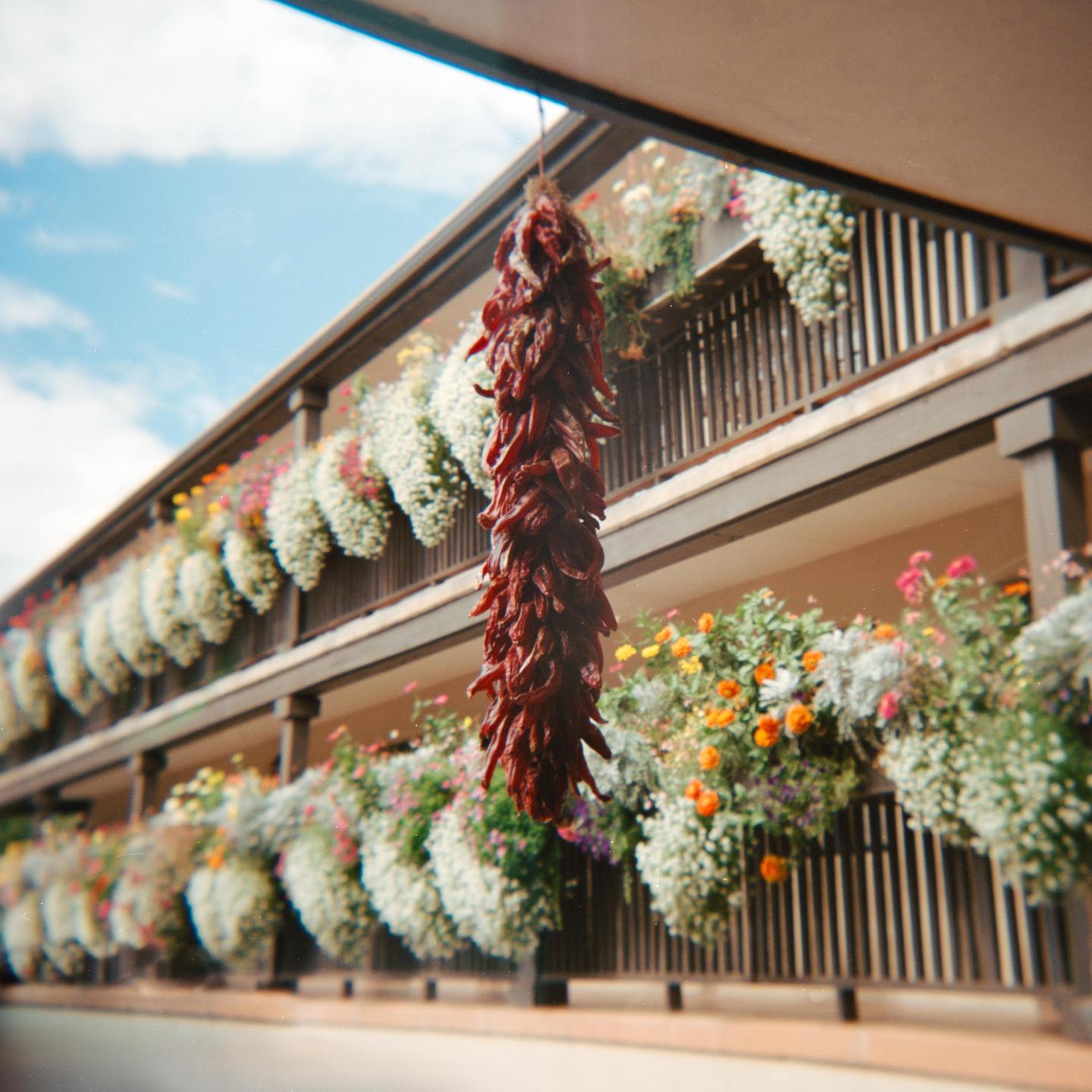 A ristra of red chili peppers hangs in front of a building with balconies adorned with hanging flower baskets.
