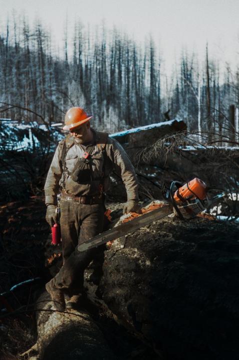 A man in a hard hat and work clothes stands with a chainsaw on a large log in a forest.