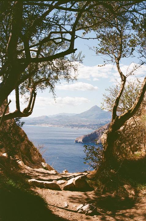 A path leads down to a view of a bay with mountains in the distance, framed by trees.