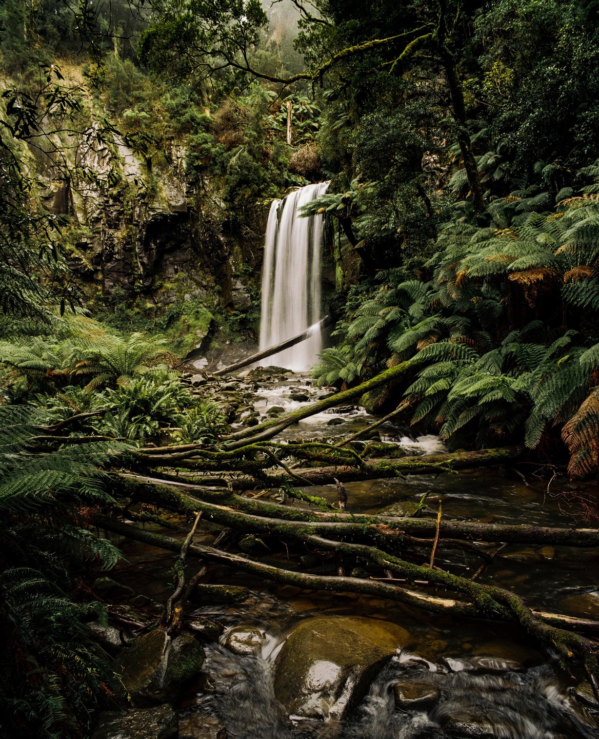 A waterfall cascades into a rocky stream surrounded by lush ferns and moss-covered fallen trees.