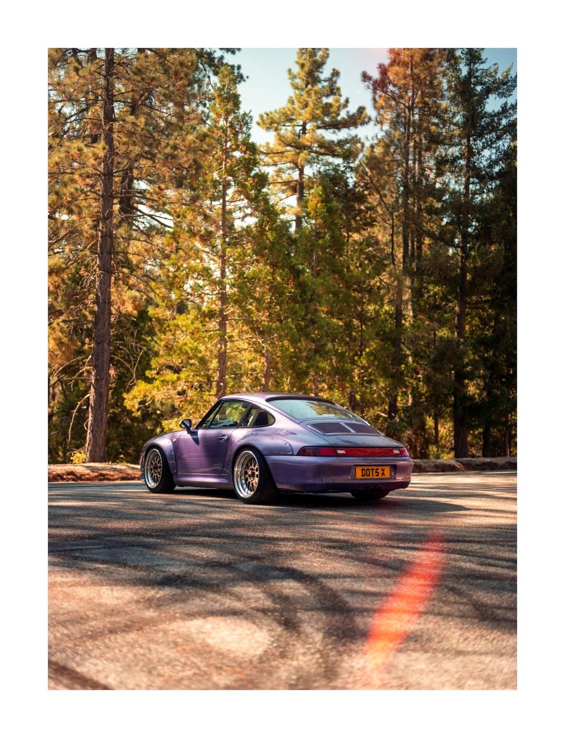 A purple sports car is parked on an asphalt road surrounded by tall pine trees.