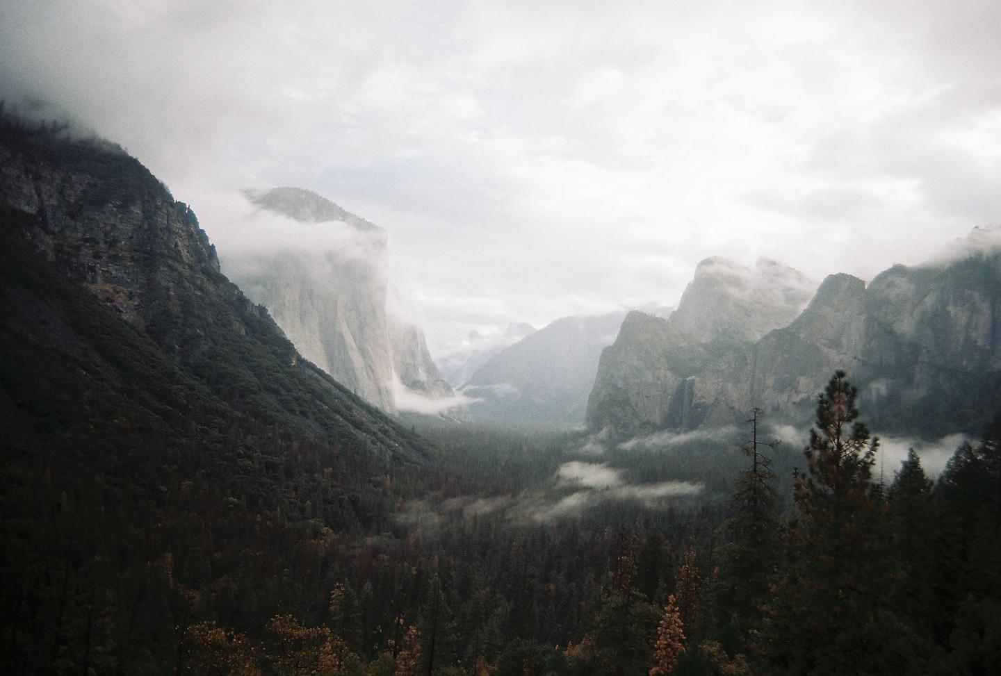 A valley with a dense forest is surrounded by tall, rocky mountains partially obscured by fog under a cloudy sky.
