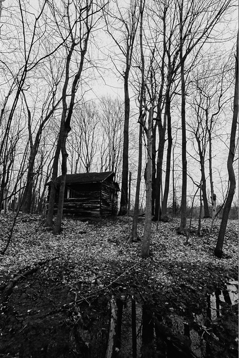 A small wooden cabin sits among tall, bare trees with fallen leaves on the ground and a reflection of the trees in water in the foreground.
