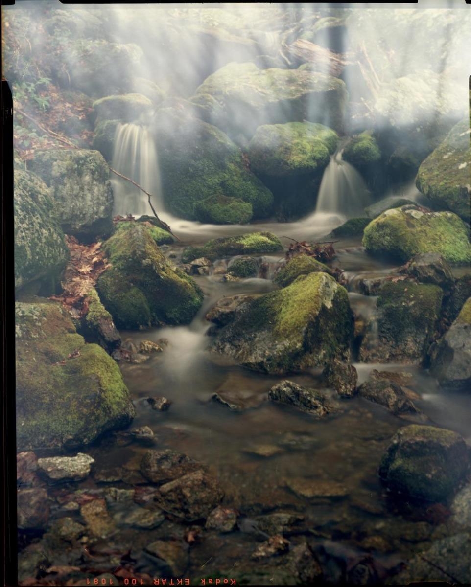 A stream flows over moss-covered rocks in a forest with light rays shining through the mist.