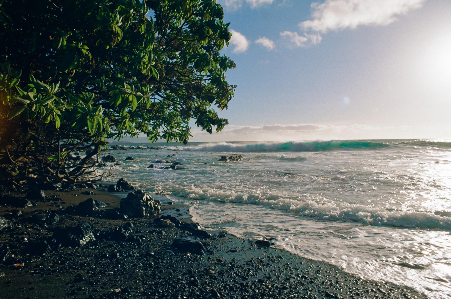 A tree with green leaves hangs over a rocky beach with waves crashing on the shore under a bright sky.