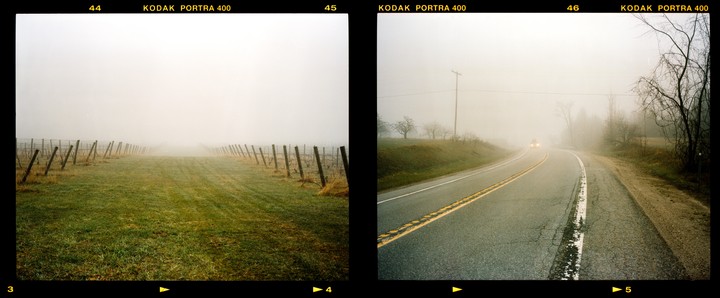Two misty landscape scenes are presented side-by-side, one showing a vineyard and the other a winding road with a car approaching.