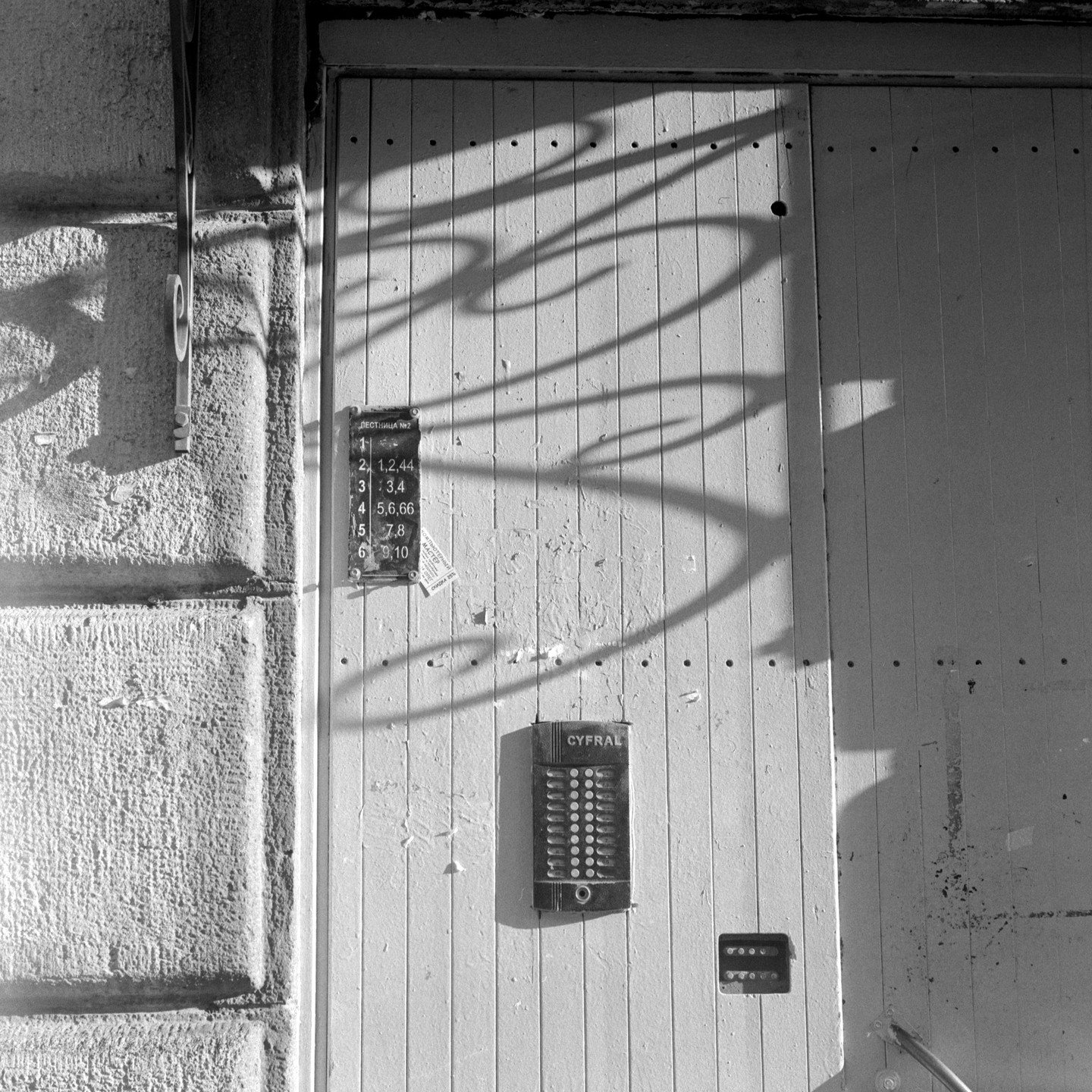 Sunlight casts shadows on a wooden door with an intercom and a directory.