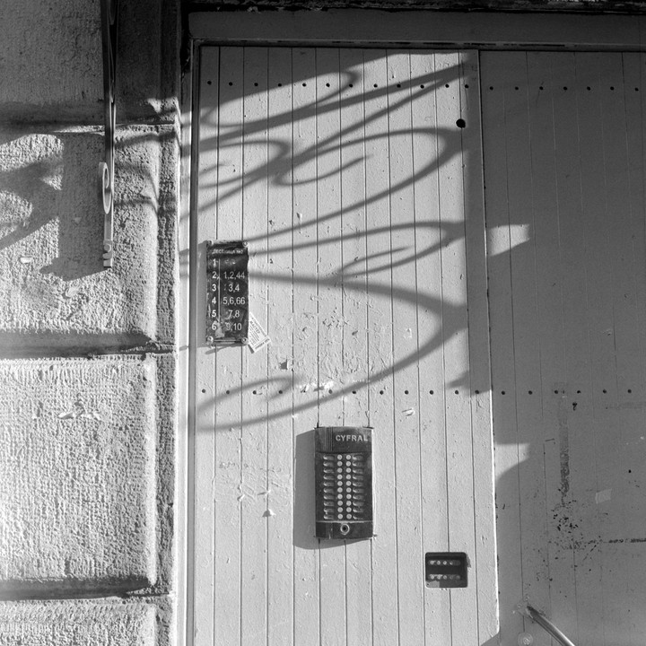 Sunlight casts shadows on a wooden door with an intercom and a directory.