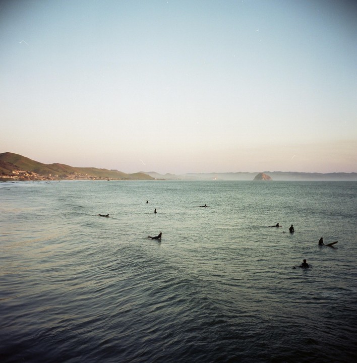 Several surfers wait in the ocean with a town and hills visible in the distance under a clear sky.