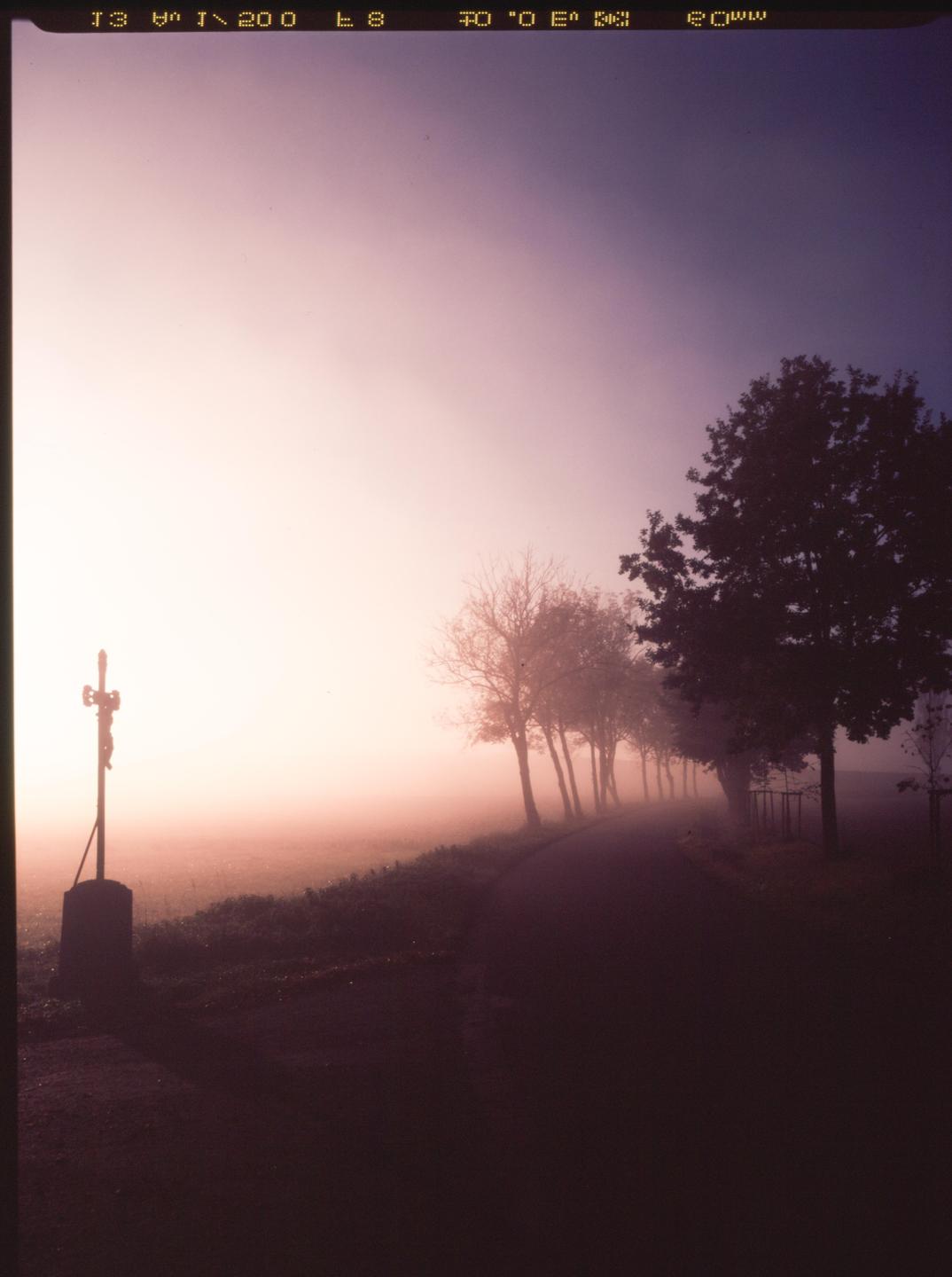 A crucifix stands beside a road lined with trees in a hazy landscape.