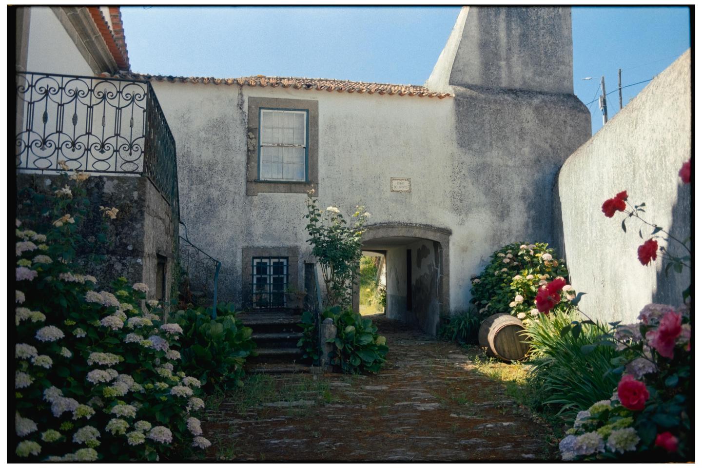 A stone courtyard with flowering bushes and a wooden barrel leads to an arched entryway in a white building.