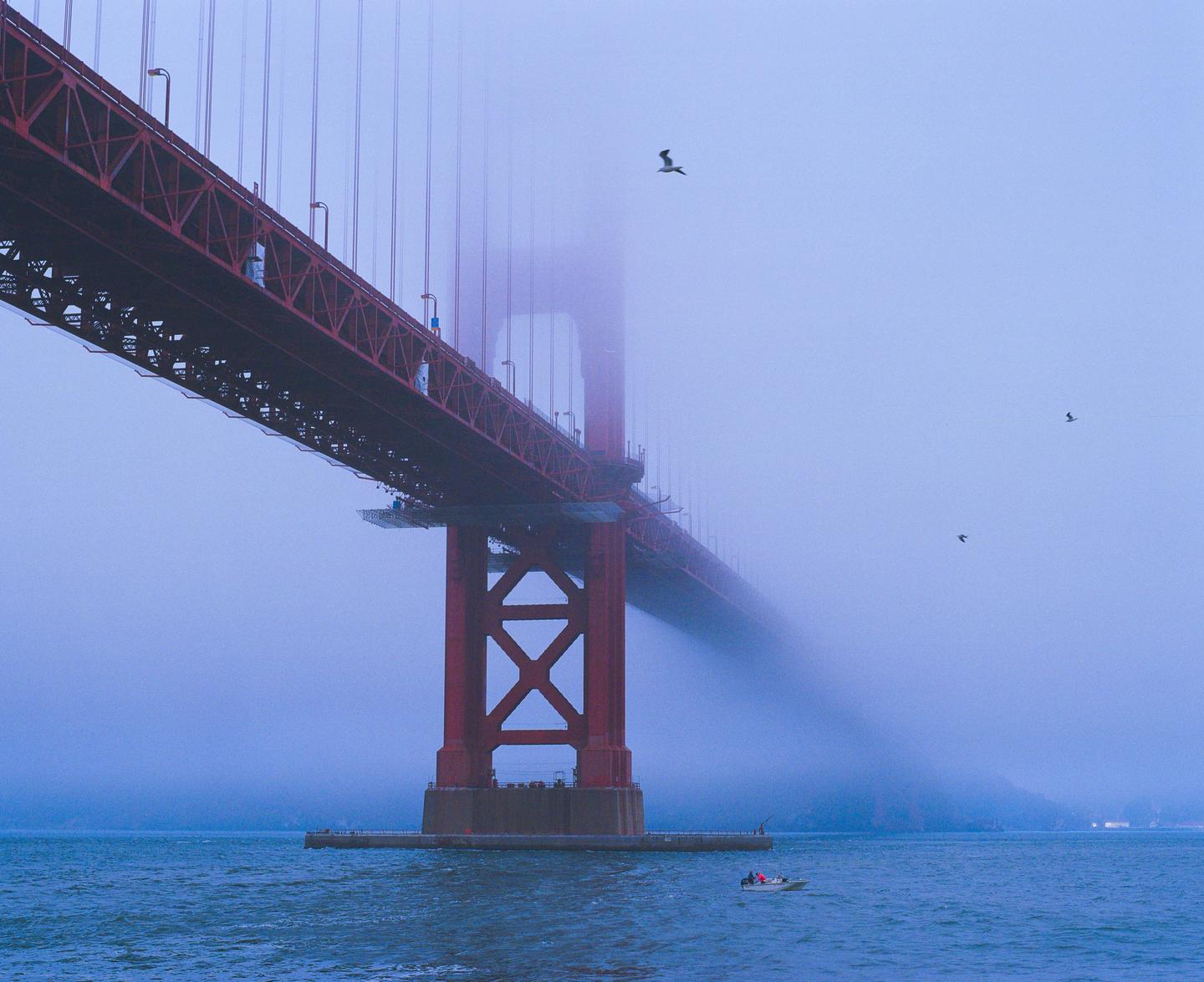 A red bridge extends into a dense fog over water, with a small boat and birds visible.