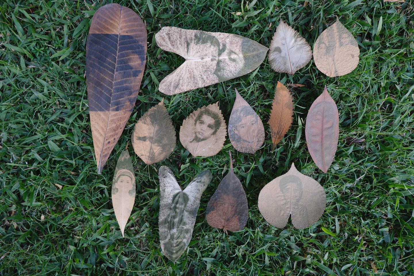 A collection of leaves with images printed on them are arranged on a bed of green grass.