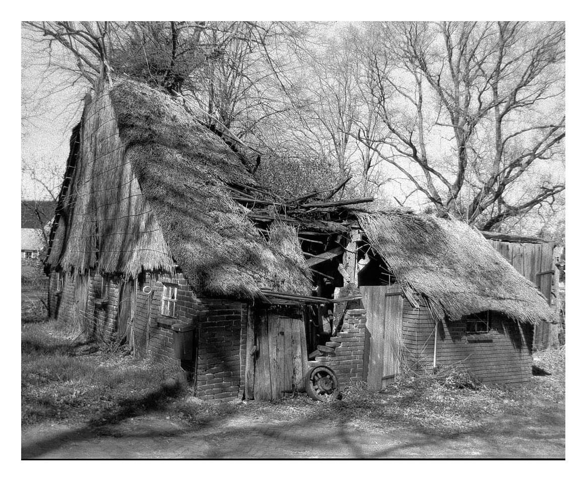 A dilapidated brick building with a thatched roof stands among bare trees.