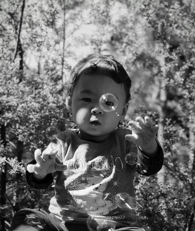 A child with dark hair and a patterned shirt reaches out towards bubbles in a sunlit outdoor setting.