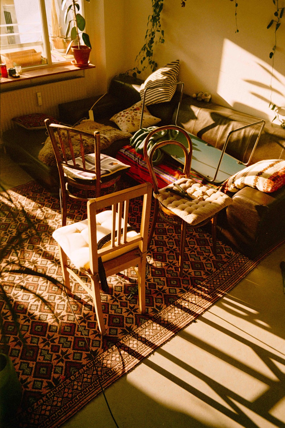 Sunlight streams into a room with a sofa, chairs, and a patterned rug.