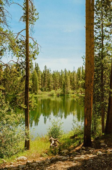 A body of water reflects the surrounding forest under a clear sky.