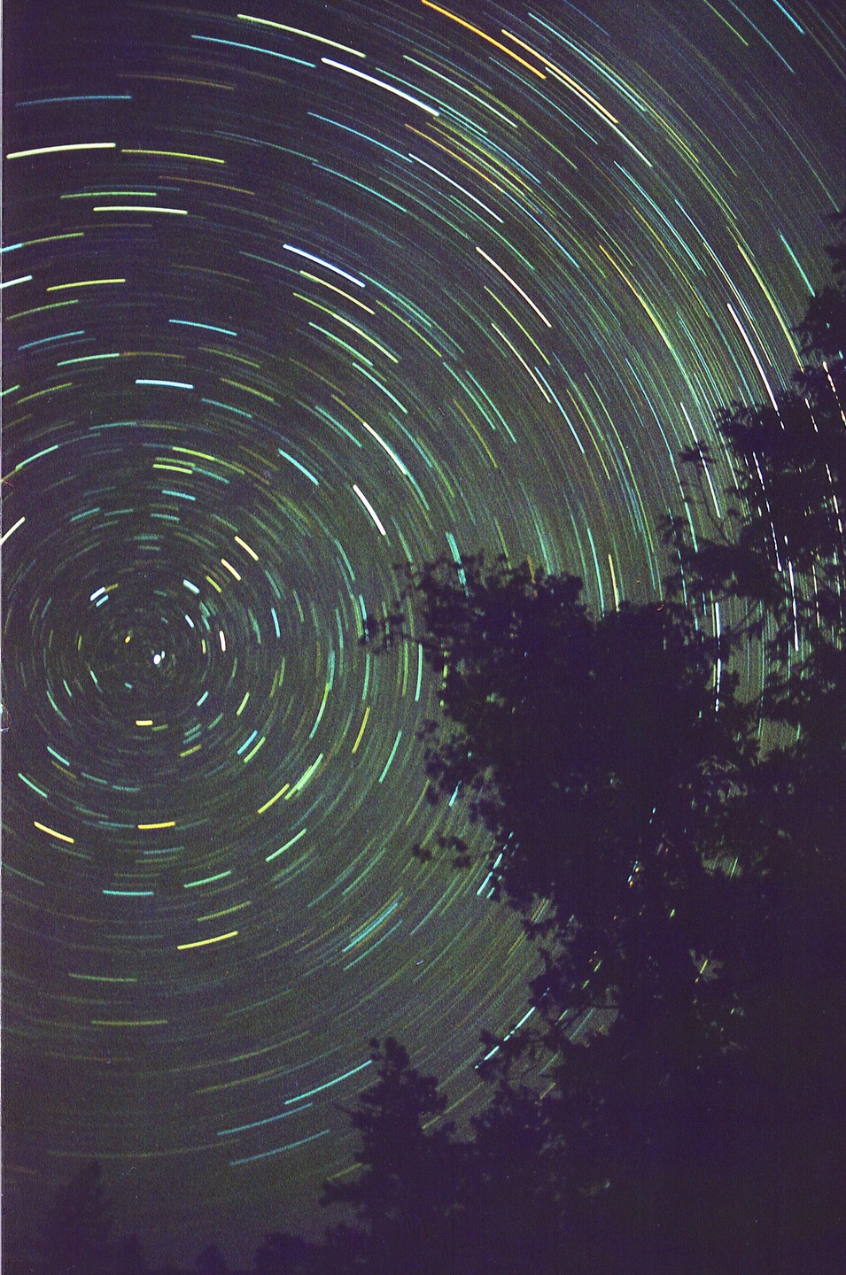 Star trails arc across the night sky above silhouetted trees.