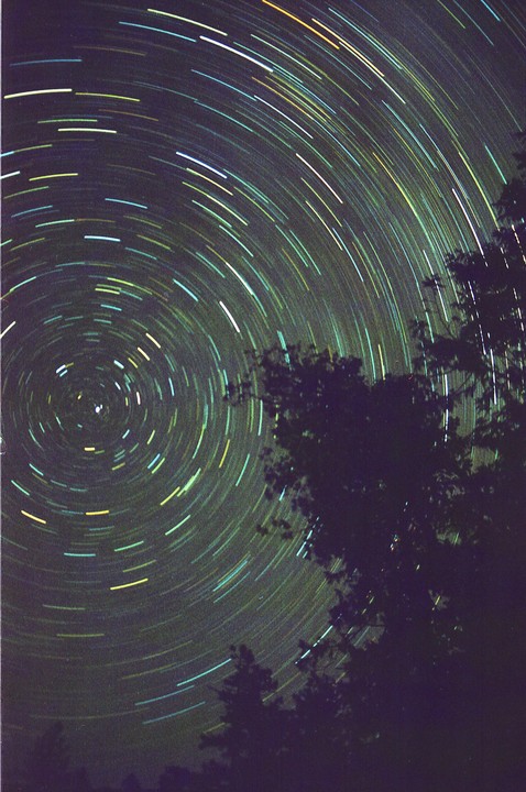 Star trails arc across the night sky above silhouetted trees.