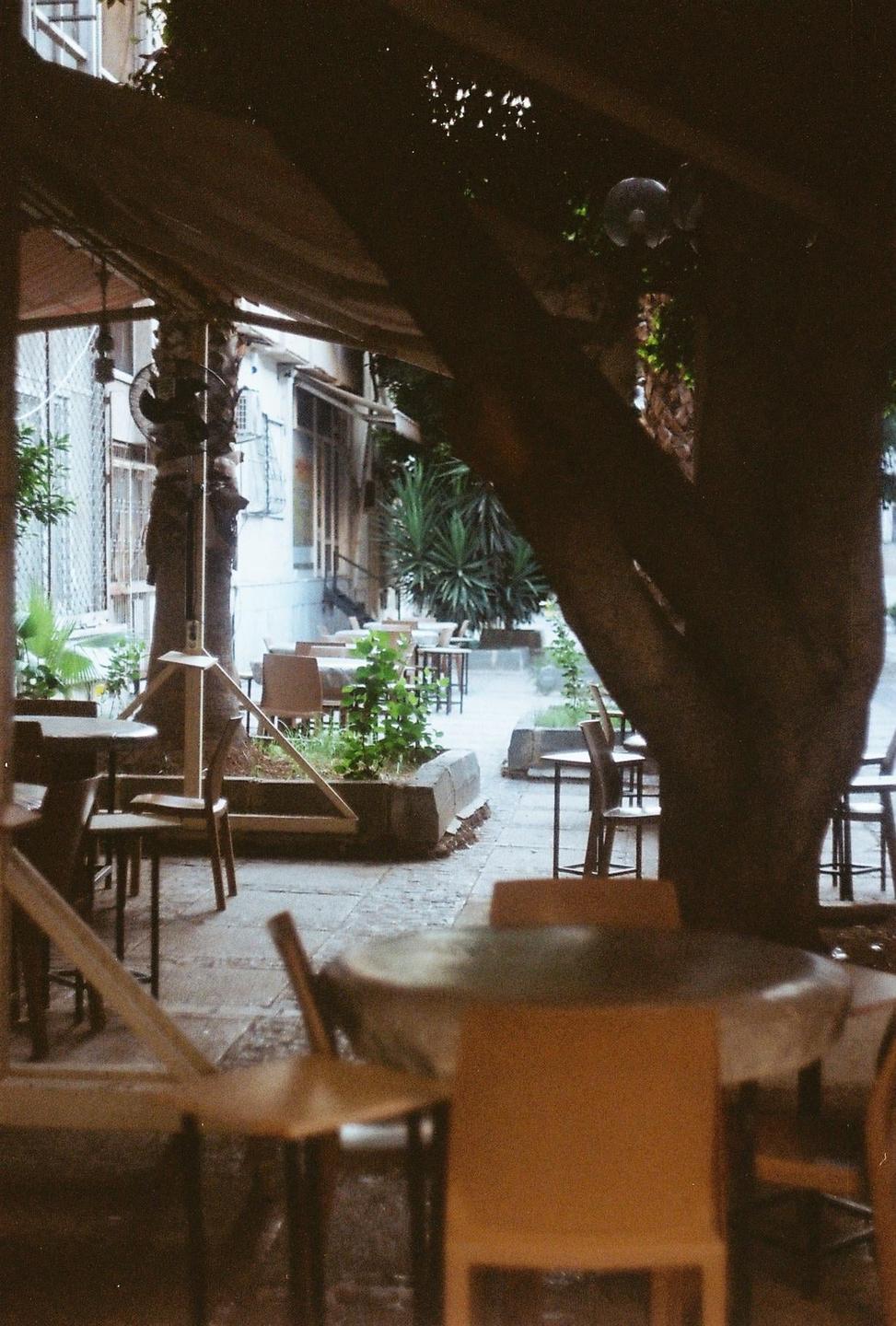 A cafe patio with tables and chairs is visible through the branches of a large tree.