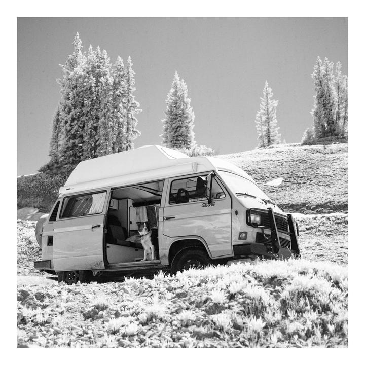 A dog sits in the open side door of a camper van parked on a snowy hill with pine trees in the background.