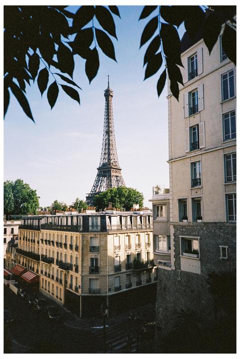 The Eiffel Tower rises above buildings and trees, framed by dark leaves in the foreground.