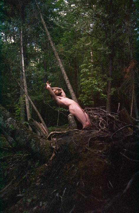 A man is posing nude on a fallen tree in a forest.