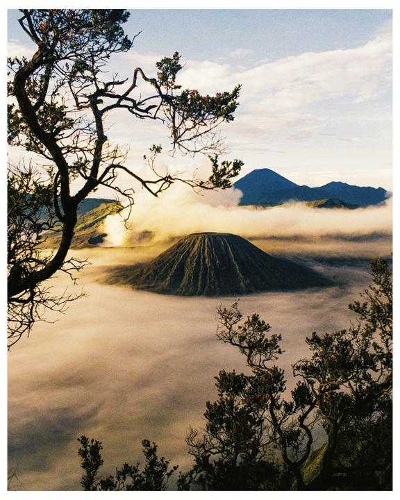 A volcanic peak rises above a sea of clouds, framed by tree branches in the foreground.