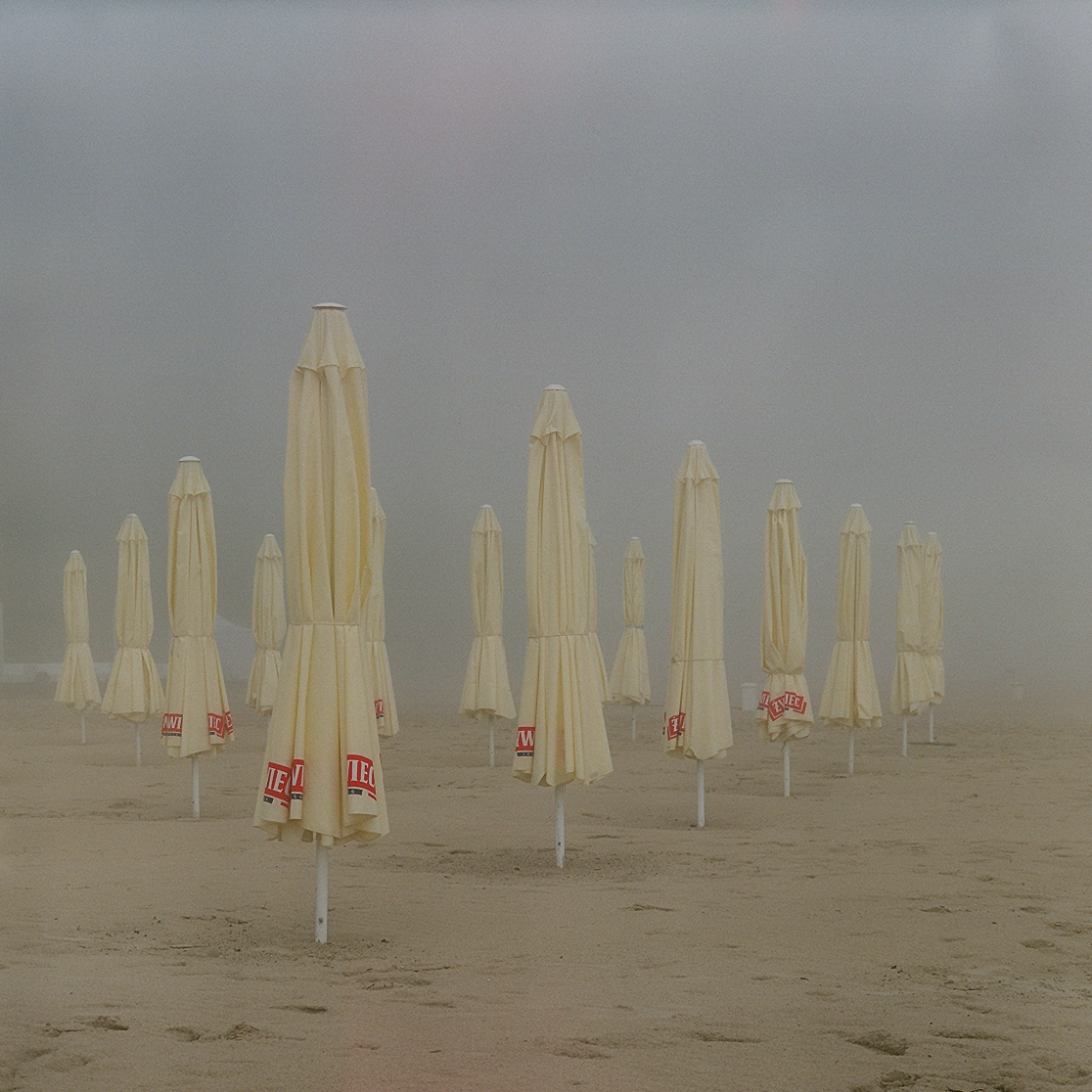 Many closed beach umbrellas stand on a sandy beach in the fog.