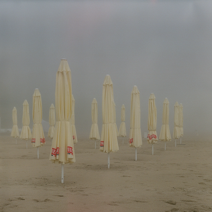 Many closed beach umbrellas stand on a sandy beach in the fog.