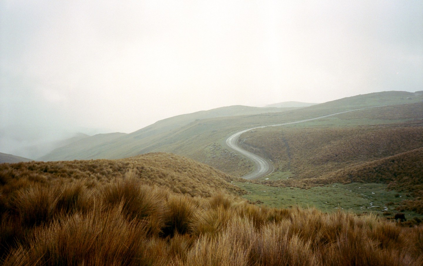 A winding dirt road disappears into the fog between grassy hills.