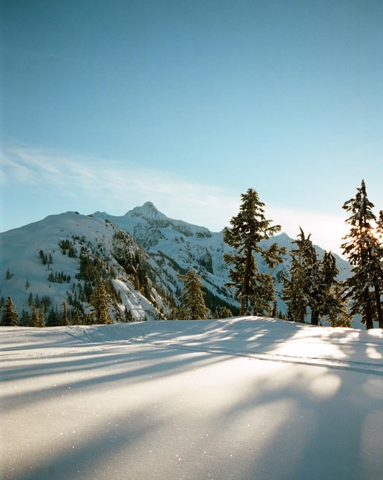A snow-covered mountain rises behind a field of snow with evergreen trees and long shadows.
