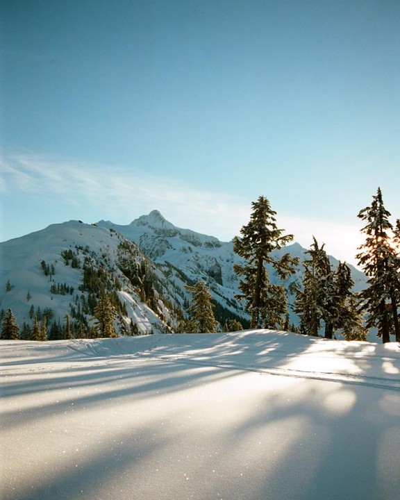 A snow-covered mountain rises behind a field of snow with evergreen trees and long shadows.