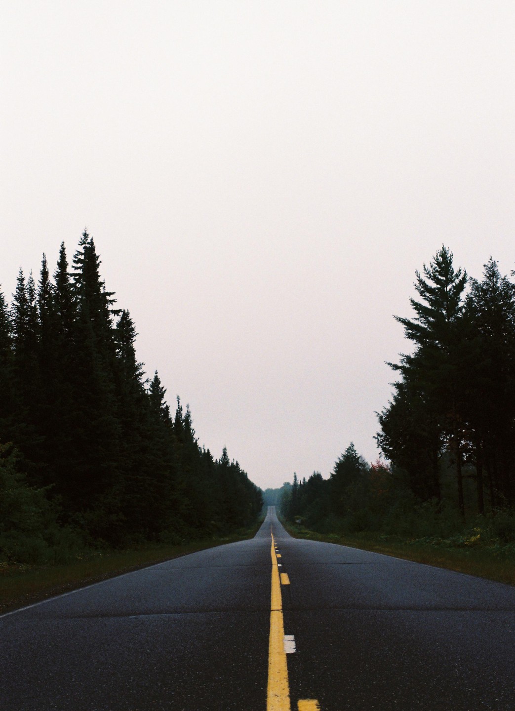 A long, straight road with a yellow dividing line stretches into the distance, flanked by tall evergreen trees under a hazy sky.