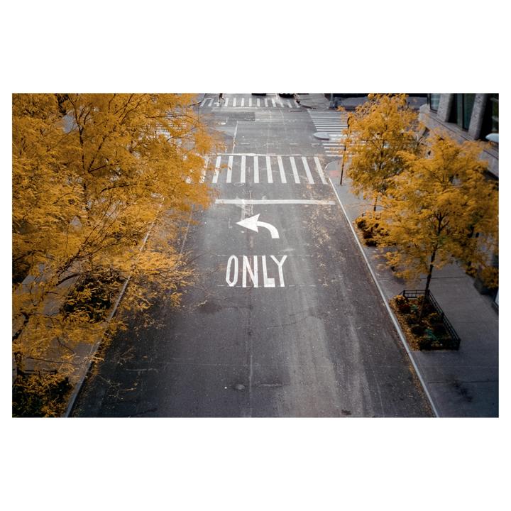 An empty street with a left turn arrow and the word "ONLY" painted on the asphalt is flanked by trees with golden autumn foliage.
