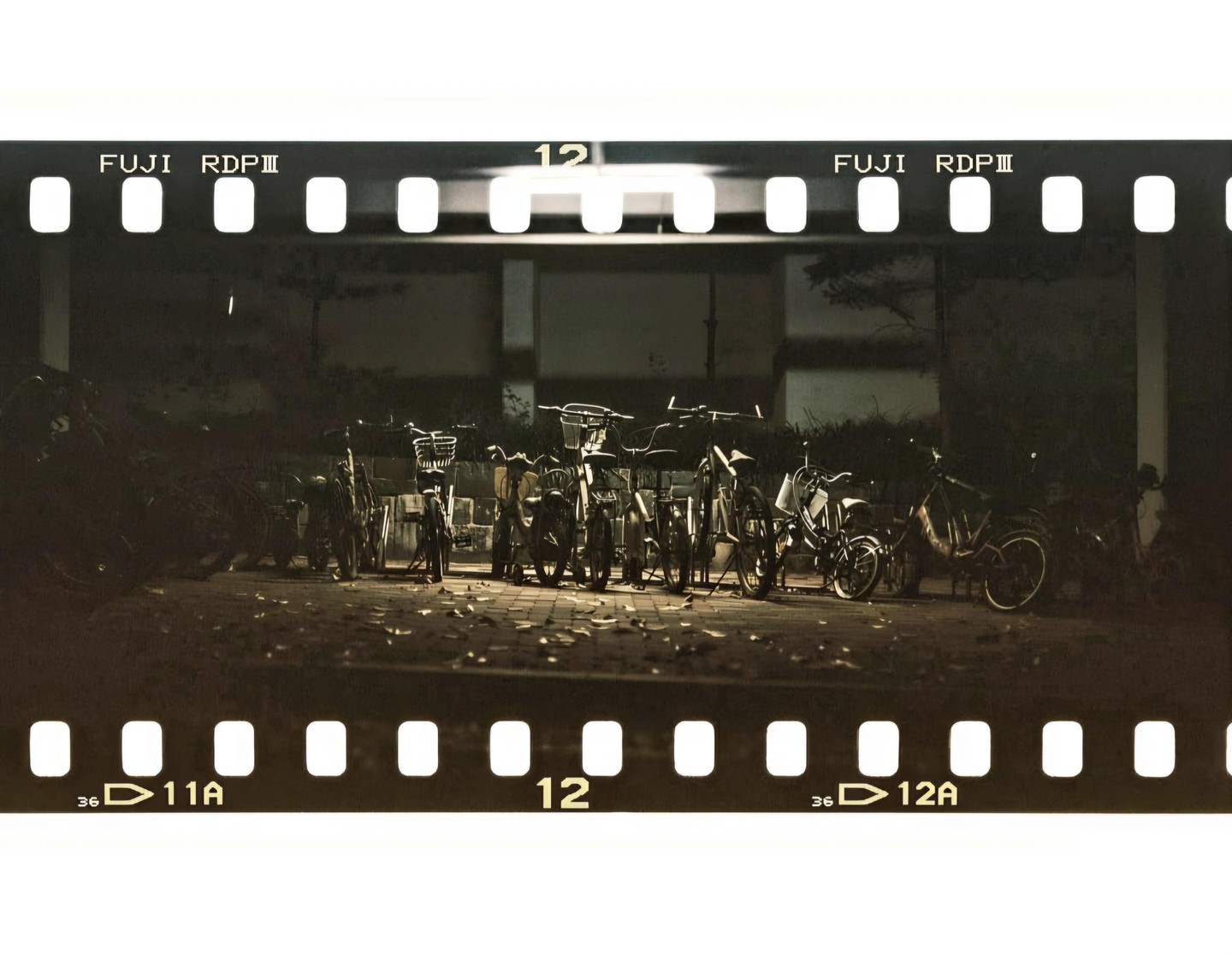A row of bicycles is parked on a paved surface at night, illuminated by an overhead light.