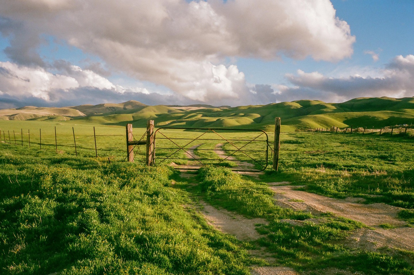 A dirt road leads to a metal gate in a green field with rolling hills under a cloudy sky.