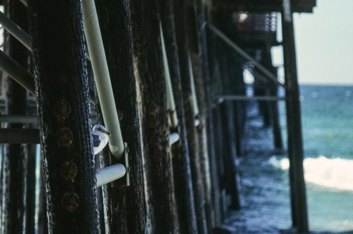A seagull is perched on a pipe under a pier with the ocean visible in the background.