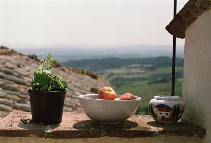 A potted plant, a bowl of peaches, and a decorative ashtray sit on a brick ledge overlooking a valley.