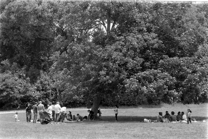 A group of people are gathered on a grassy field with trees in the background.
