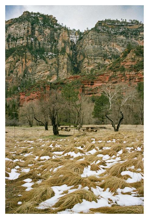 A field of dry grass and snow sits before a forest and a large mountain.